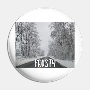 Frosty Scene Pin