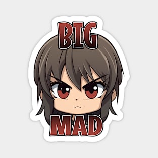 Big Mad Magnet