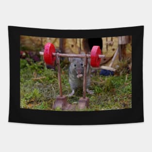 Weight lifting work out mouse Tapestry