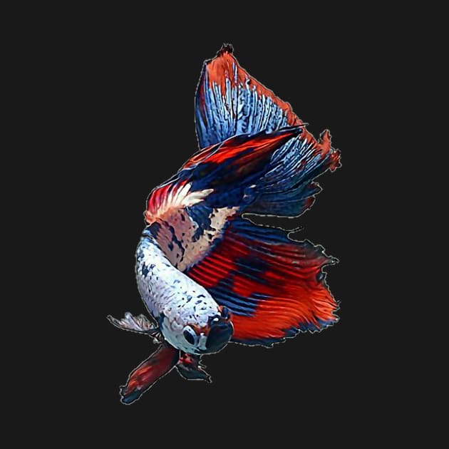 halfmoon betta fish by MACIBETTA