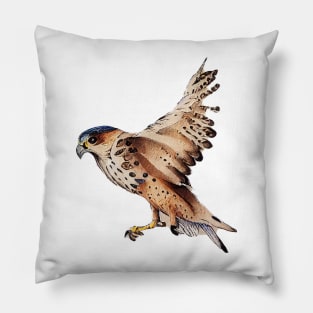 Kestrel flying Pillow