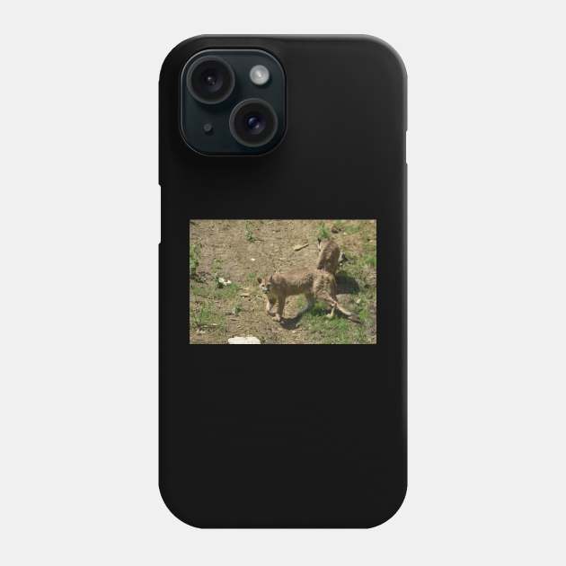 Cougar Cubs Phone Case by MarieDarcy