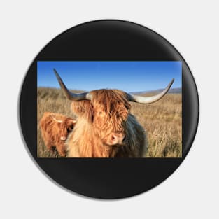 Highland Cow in the Field Pin