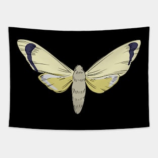 Cicada Cicadas Brood Insect Tapestry