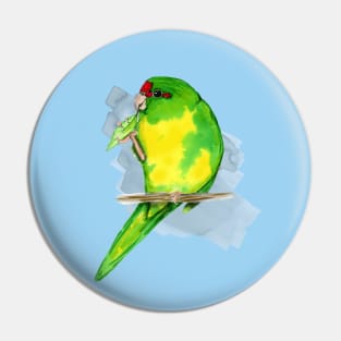 A watercolor of a Red-crowned parakeet Pin