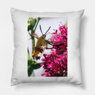 THE PANASONIC FZ 200 PAR OKAIO CREATION Pillow