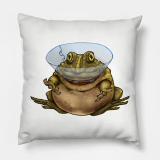 Surgery Frog Pillow