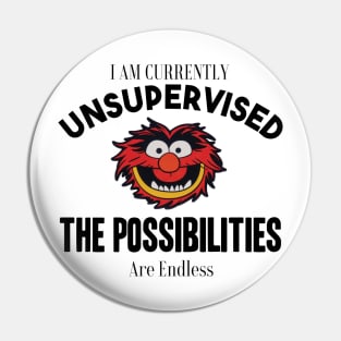 I am currently unsupervised I know it freaks me out too but possibilities are endless Pin