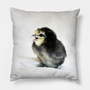 Chicken Pillow