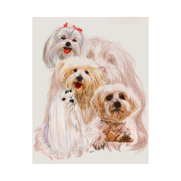 Maltese Medley by BarbBarcikKeith