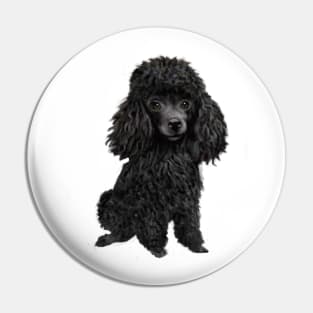 Black Ministure or Toy Poodle Pin