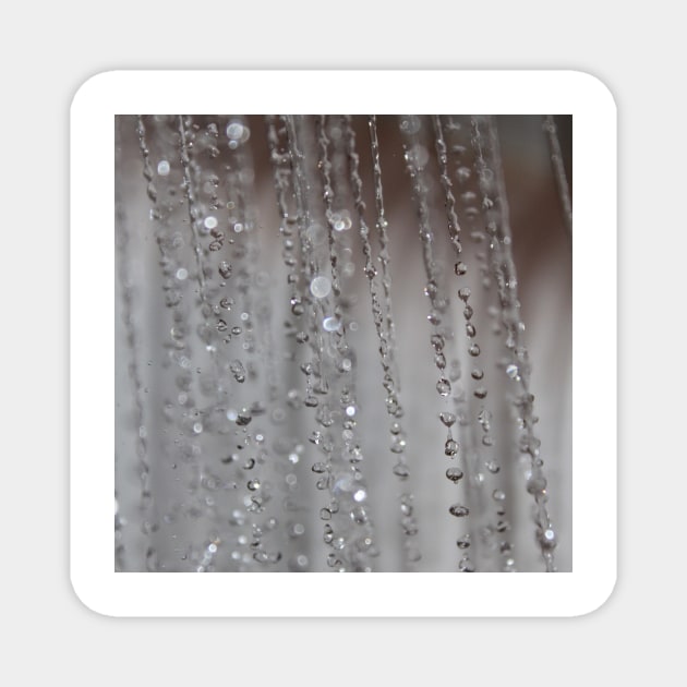 Water drops Photo Magnet by k-creatif