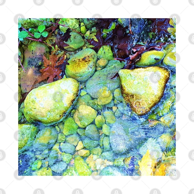 Wet pebbles and leaves, river, water, nature, rain, winter, xmas, fall, leaves, tropical, summer, holidays, art, exotic by PrintedDreams