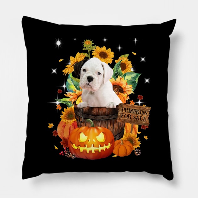 White Boxer Halloween Pumpkin Fall Bucket Pillow by Marcelo Nimtz