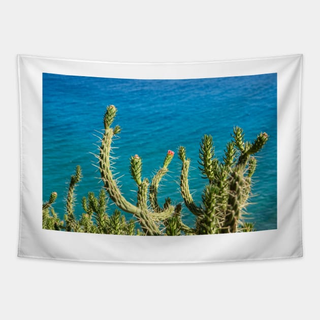 Prickly. Tapestry by sma1050