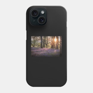 'Sunset Bluebells', Kinclaven Woods, Perthshire. Phone Case
