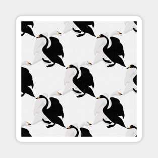 Black Swan / White Swan Magnet