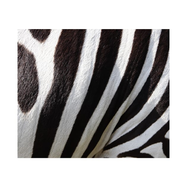 Dazzling zebra print by RoseAesthetic