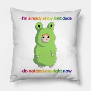 I'm already at my limit plushie Pillow