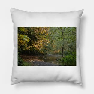 Fall in goldstream park Pillow