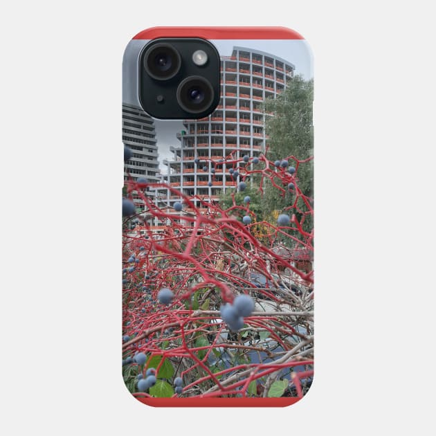 Tirana, Albania Phone Case by Stephfuccio.com