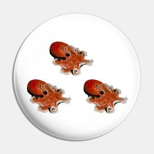 3 Small octopus Pin