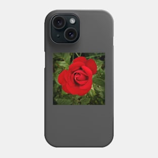 Red Like Roses Phone Case