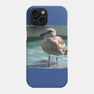 Just a gull Phone Case