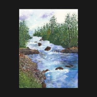 Clear Creek in Golden Colorado T-Shirt