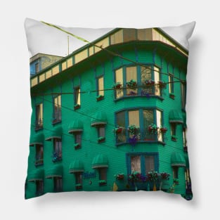 Old is gold photography Pillow