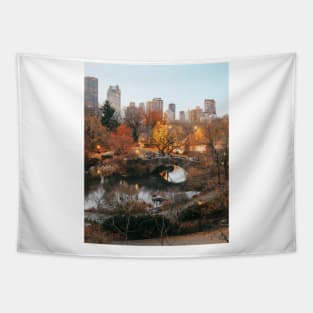 Central Park Sunset Tapestry