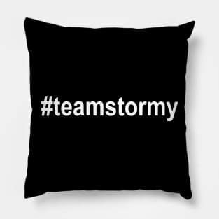 #teamstormy Hashtag Team Stormy Stormy Daniels Trump Pillow
