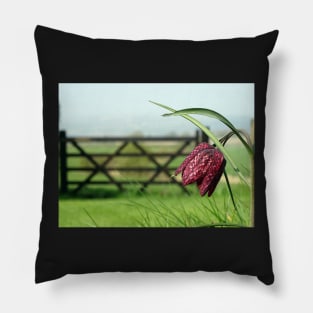 The Leper Lily Pillow