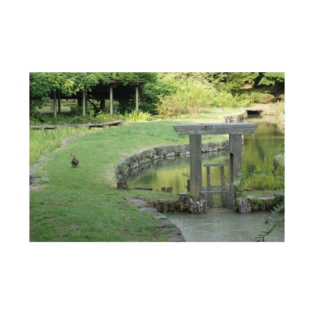 Shinjuku Gyoen National Garden Tokyo by PugDronePhotos