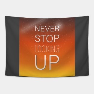 NEVER STOP LOOKING UP Tapestry