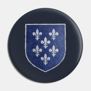 Coat of arms of Temeria | Medieval manuscript heraldry fan art inspired by The Wicher Pin