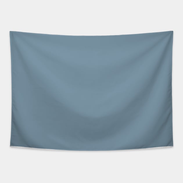 Grey Blue Plain Solid Color Tapestry by squeakyricardo