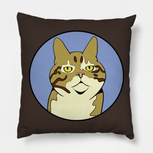 Serious Cat - Funny Animal Design Pillow