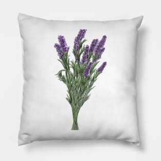 Lavendar plant Pillow