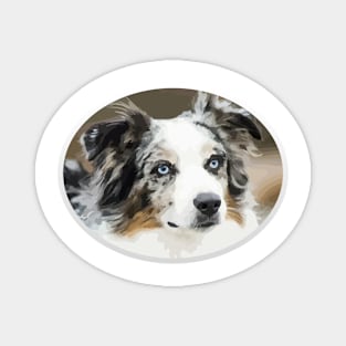 Beautiful Australian Shepherd! Especially for Aussie Lovers! Magnet