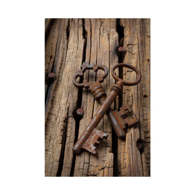 Two Antique Rustic Skeleton Keys by photogarry