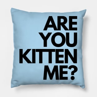 Are you kitten me? Pillow