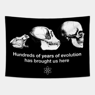 "Hundreds of years of Evolution" Funny Science Joke Shirt Tapestry