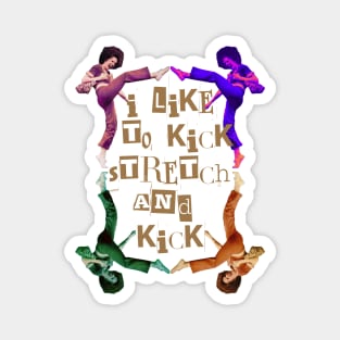 I like to Kick Stretch & Kick-Sally OMalley Funny Magnet