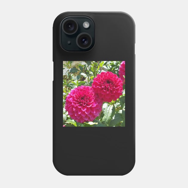 Hot Pink Dahlias Phone Case by claire-l-page