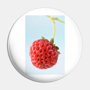 Fragaria x ananassa  &#39;Framberry&#39;  Strawberry Pin