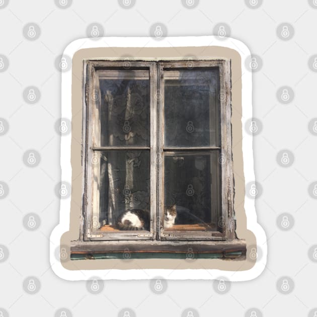 Window Cat Magnet by TenomonMalke