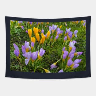 Harbingers of Spring Tapestry