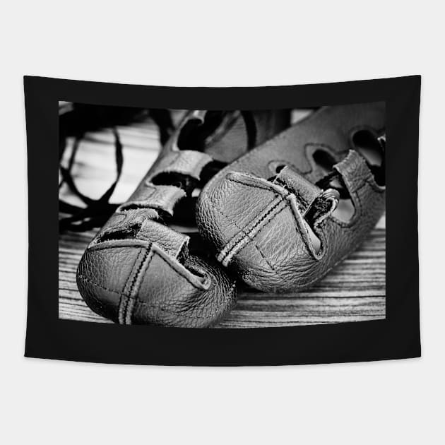 Irish Dance Shoes Tapestry by irishmurr