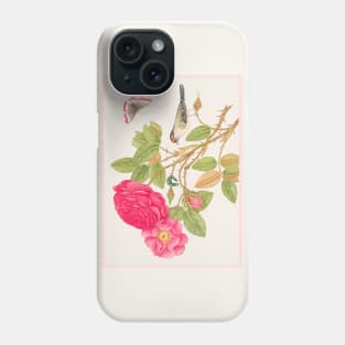 Red Headed Bird on Rose Branch (18th Century) Phone Case